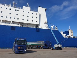 Tallink (Sailor) Logo painting