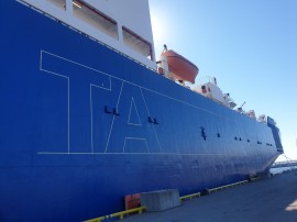 Tallink (Sailor) Logo painting