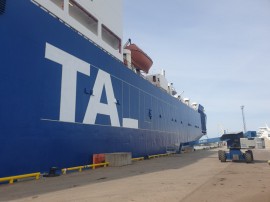 Tallink (Sailor) Logo painting