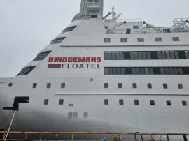 Brigemans Isabelle