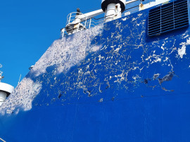 Tallink Sailor